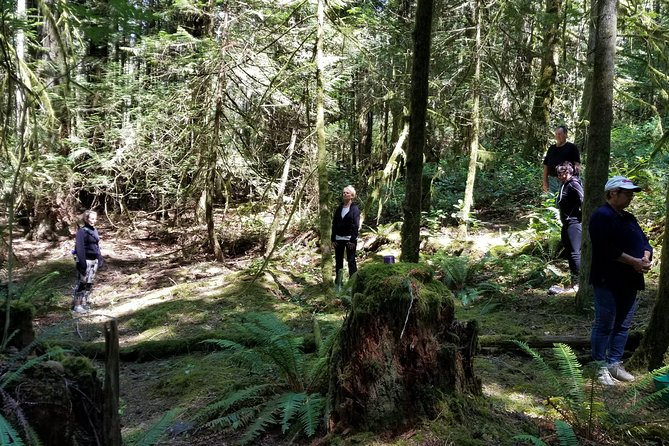 Mystical Rainforest Tour - Forest Magick - Guided Forest Bathing