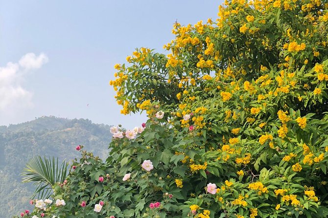 Nagarkot Sunrise With Day Hiking From Kathmandu - Tips for a Successful Trip
