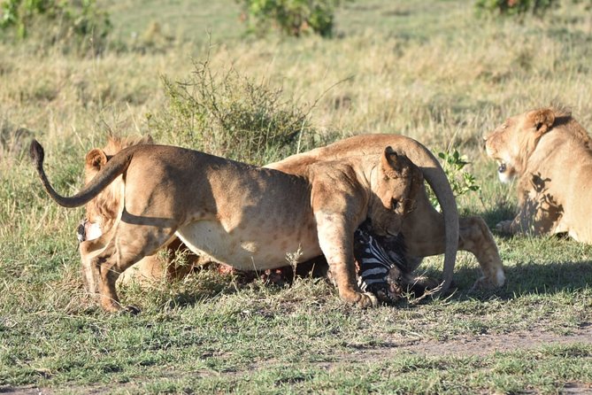 Nairobi Layover - Reservation Information