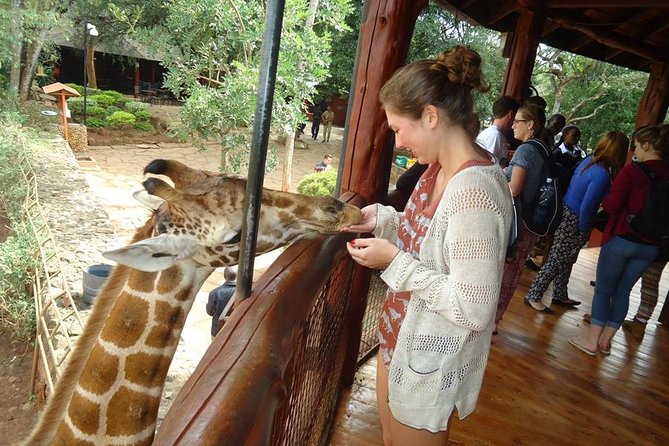 Nairobi National Park, Giraffe Center and Elephant Orphanage Day Tour From Nairobi - Review Highlights