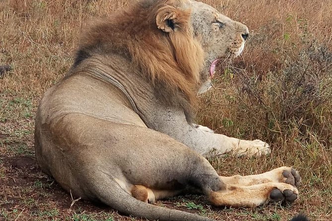 Nairobi National Park, Sheldrick Elephant, Giraffe Centre Tour - Transportation and Accessibility