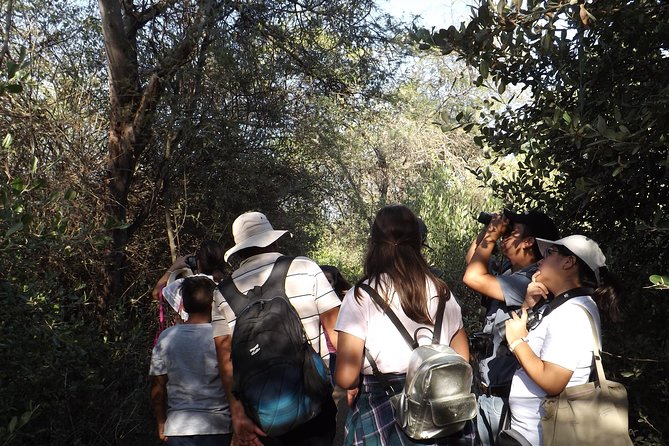 Nature Tour, Pómac Forest With Picnic Breakfast Included. - Booking and Pricing