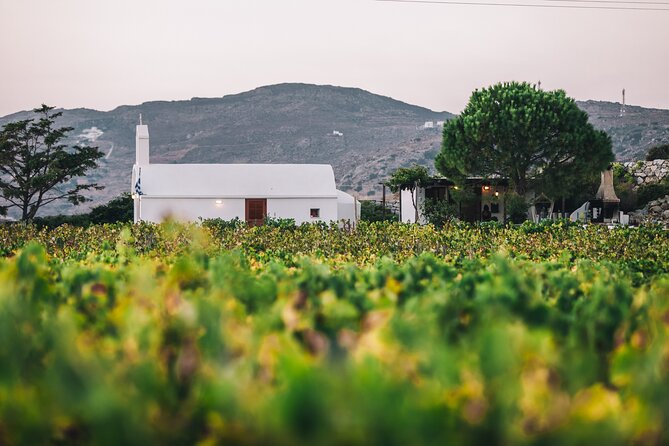 Naxos Wine & Culture Tour - Tour Highlights