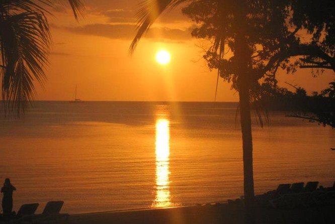 Negril Day Trip From Ocho Rios - Additional Information and Tips