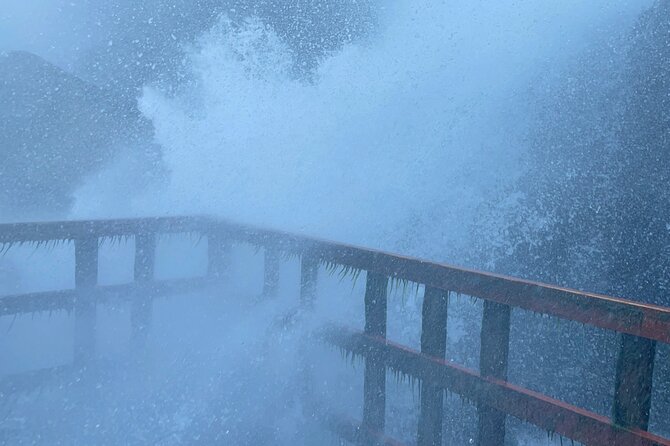 Niagara Falls- Attraction Pass- Boat, Cave, Trolley and 3 Falls - Guide Quality and Reviews
