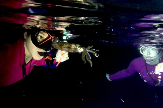 Night Snorkeling - Observation of Octopus and Other Species - Guides and Experiences