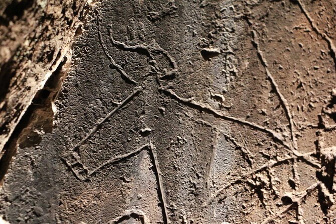 Night Visit to the Engravings of Foz Côa in 4x4 Between Douro and Côa - Tour Highlights
