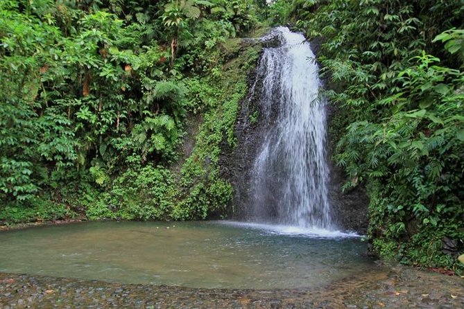 North Caribbean Tour in Martinique - Reviews and Ratings
