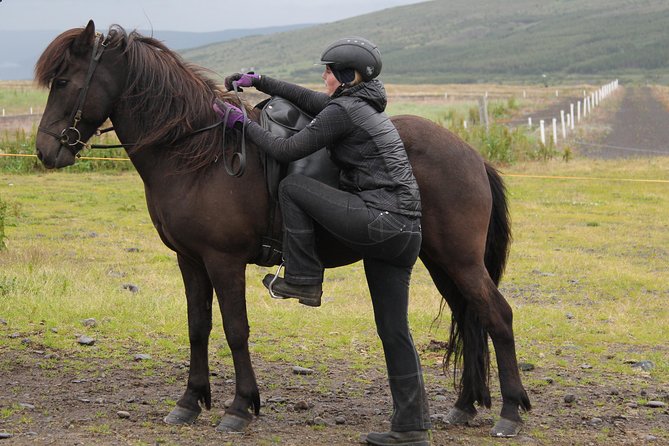 North Iceland: Horseback Riding Tour  - Akureyri - Scenic Beauty and Local Interactions