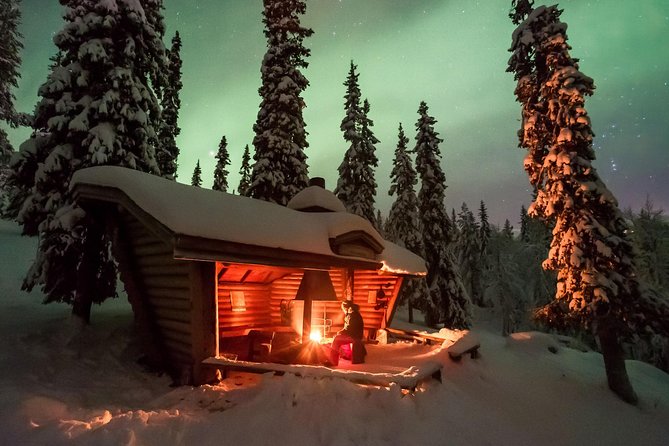 Northern Light Safari by Snowmobiles From Levi - Traveler Reviews and Feedback