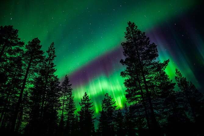 Northern Lights Adventure From Rovaniemi Review - Highlights of the Experience