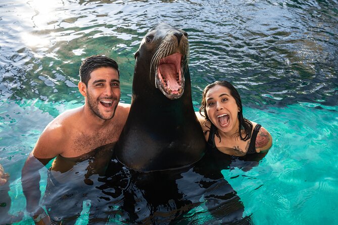 Ocean Mania & Water Park Experience in Puerto Vallarta - Customer Feedback and Safety Concerns