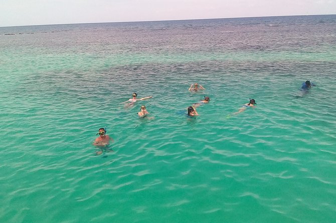 Ocho Rios Shore Excursion: Private Snorkel Tour - Inclusions and Pricing