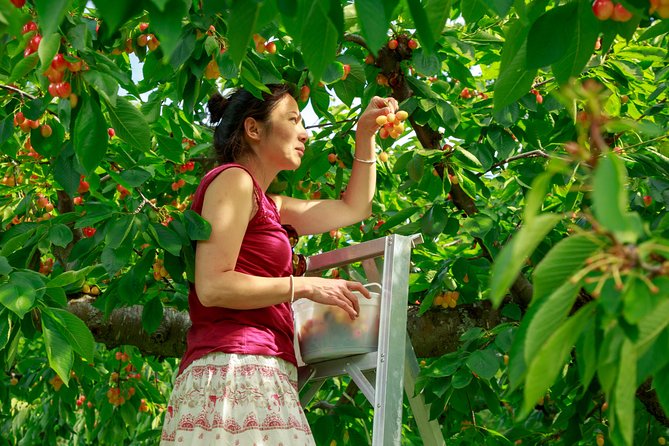 Okanagan 2 Days Sightseeing and Wine Tasting Tour - Private Transportation for Convenience