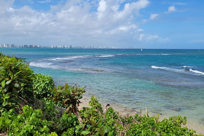 Old San Juan and Piñones Sightseeing Tour via Minibus - Exploring Old San Juan