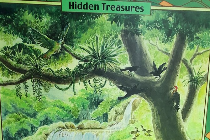 Omars Black River Safari, YS Falls Tour From Montego Bay - Exploring Black River Safari