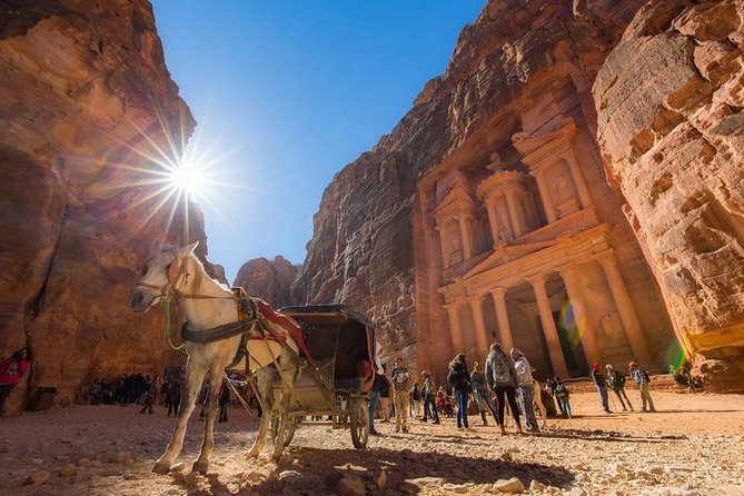 One Day Petra From Aqaba - Guided Tour - Booking and Cancellation Policy