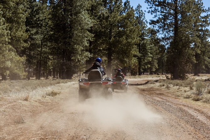 One Hour Guided ATV Ride in Utah - Enjoying the Scenic Views