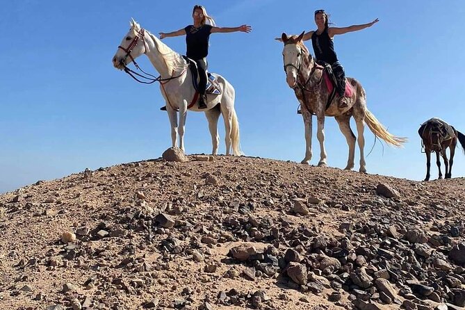 One Hour Horse or Camel Riding With Transfer- Sharm El-Sheikh - Value for Money