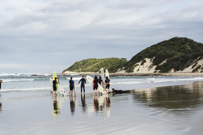 One-Way Hop-On Hop-Off Bus From Port Elizabeth to Cape Town - Convenience and Flexibility