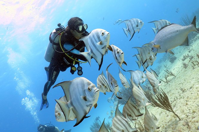 Open Water Diver 2-Day PADI Course in Playa Del Carmen - Booking and Payment