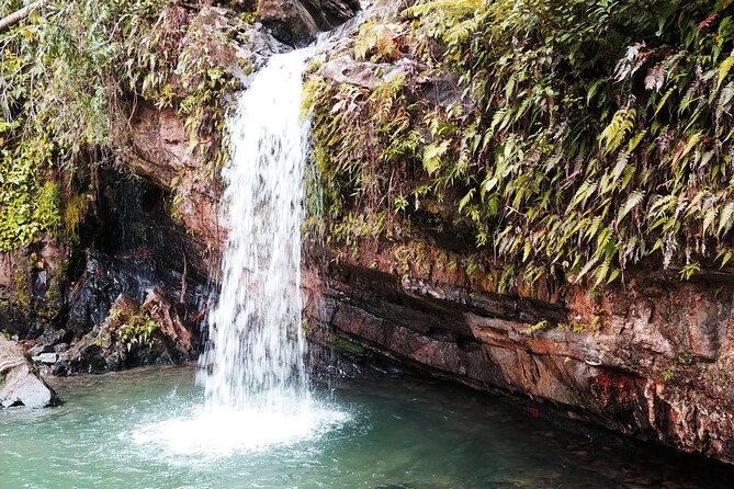 Original Tropical Rainforest and Beach Adventure - Knowledgeable Guide