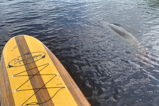 Orlando Manatee and Olde Florida History Adventure Tour - Participant Requirements
