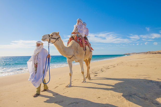 Outback Camel Ride - What to Expect on the Tour