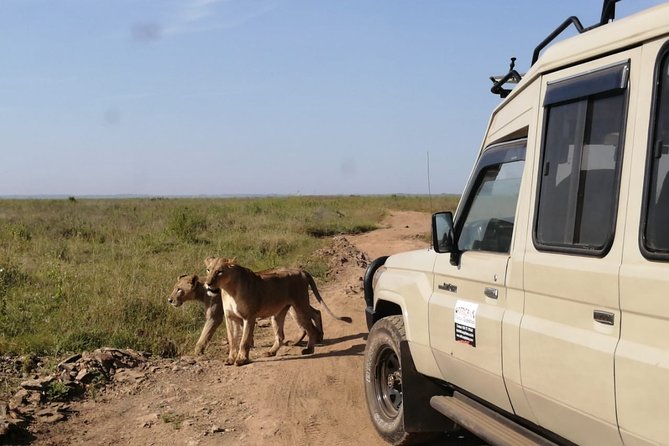 Outdoors And National Park Visits - Wildlife Spotting Opportunities
