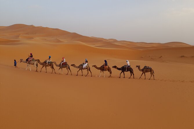 Overnight Camel Trek in Merzouga Dunes - Transportation and Meeting Details