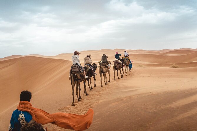 Overnight Tour From Fes to Sahara Desert - Itinerary Highlights