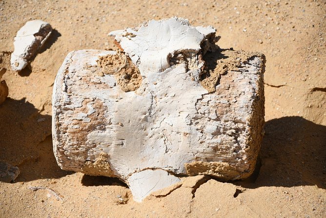 Overnight Trip to Fayyom Oasis, Wadi El-Hitan & Wadi El-Rayyan - Frequently Asked Questions