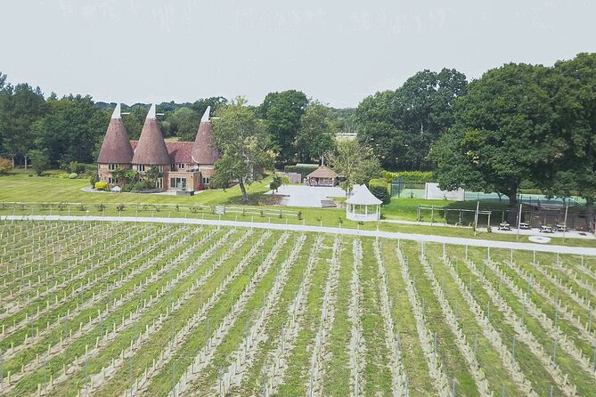 Owners Vineyard Tour and Tasting at Oastbrook - Grape Cultivation From Owner