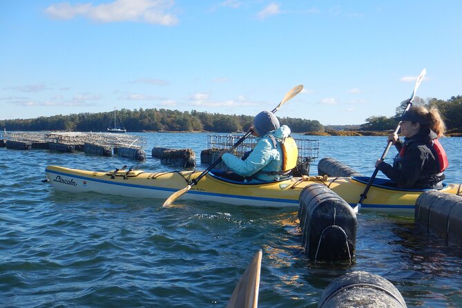 Oyster Farm & Complimentary Tasting Sea Kayak Tour in Casco Bay - Recommended Attire and Provisions