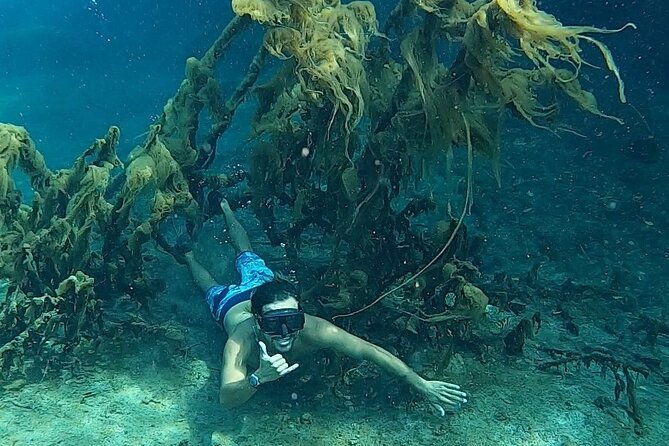 Paddle and Snorkel in Cenote - Riviera Maya - Tour Rating