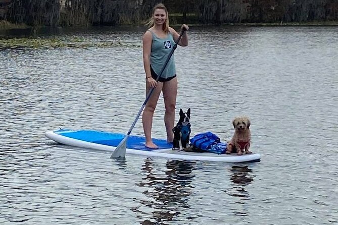 Paddle With Pups in Paradise - Paddleboard or Kayak - Pricing and Booking Details