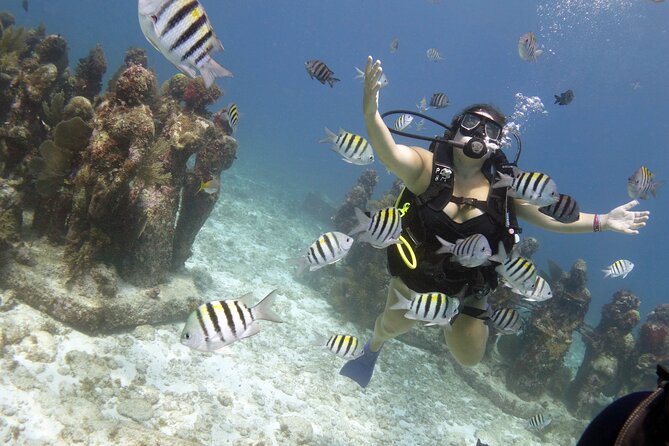 PADI Discover Scuba Diving for Divers Without Certification - Meeting Point and Logistics