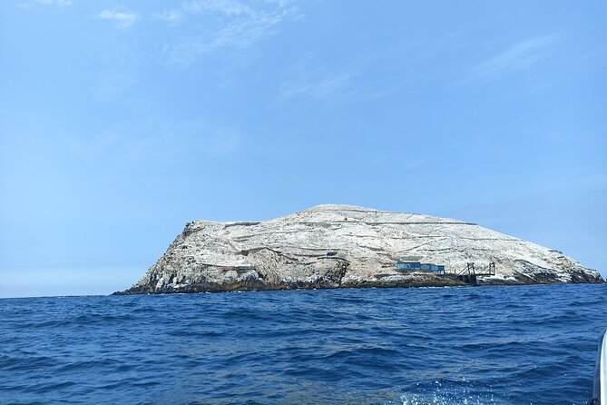 Palomino Islands Tour With Shuttle Service - Preparing for the Adventure