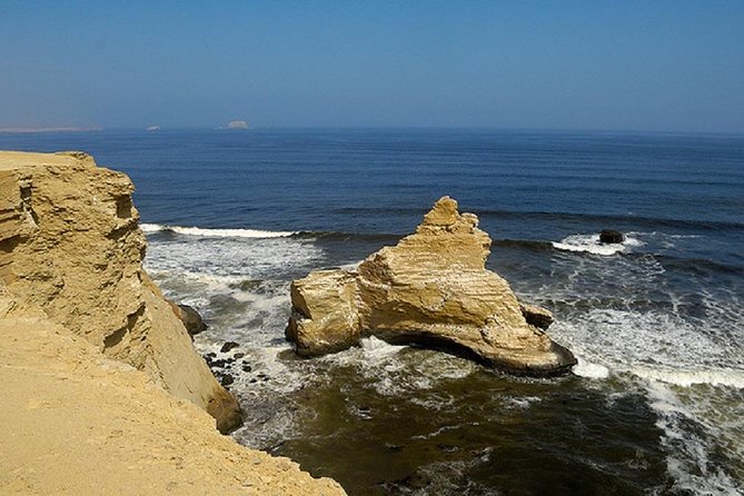 Paracas National Reserve Half Day Tour - Additional Information