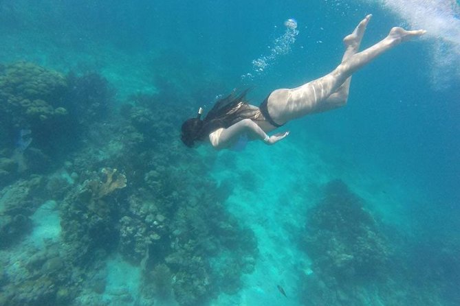 Party Boat in Catamaran With Open Bar + Snorkeling - Participation Suitability