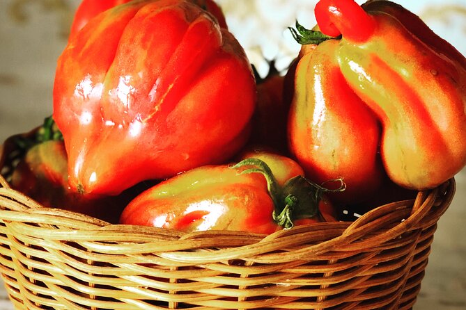 Pasta and Pizza Cooking Class in Cortona - Dietary Requirements and Accessibility