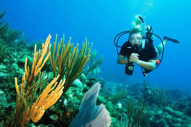Pattaya PADI Beginner Scuba Diving One Try Dive Depth 6 Meters and Snorkeling ) - Tips for First-Time Divers