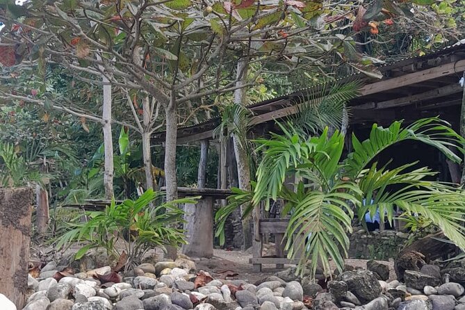 Peats Private Rustic Beach From Ocho Rios - Experience the Rustic Charm