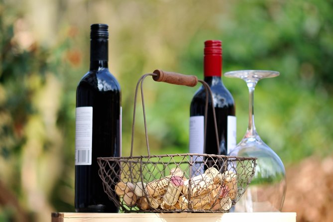 Peljesac Peninsula Wine Tasting Luxury Tour From Dubrovnik - Luxury Vehicle Experience