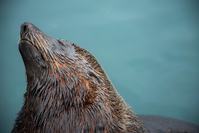 Peninsula Photography Tour - Tips for Photographers