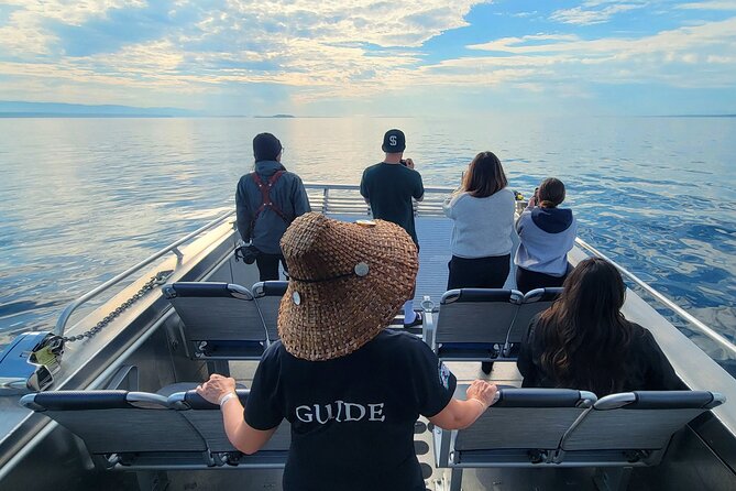 People Water Land- Indigenous Cultural and Wildlife Tour - Accessibility Considerations