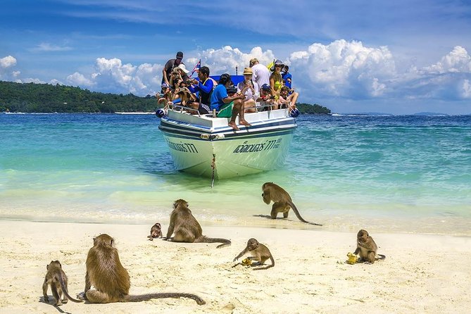 Phi Phi Island From Phuket by Speedboat (Sha Plus) - Important Details