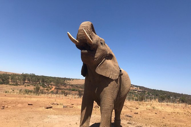 Pilanesberg Camping Safari From Johannesburg - Packing Tips for Safari