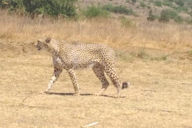 Pilanesberg Safari Fullday - Cancellation and Payment Details