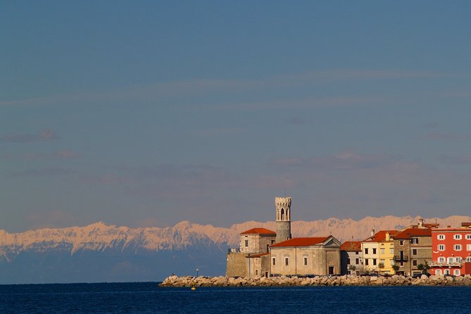 Piran & Flavors of Slovenian Istria - Delectable Istrian Lunch and Drinks
